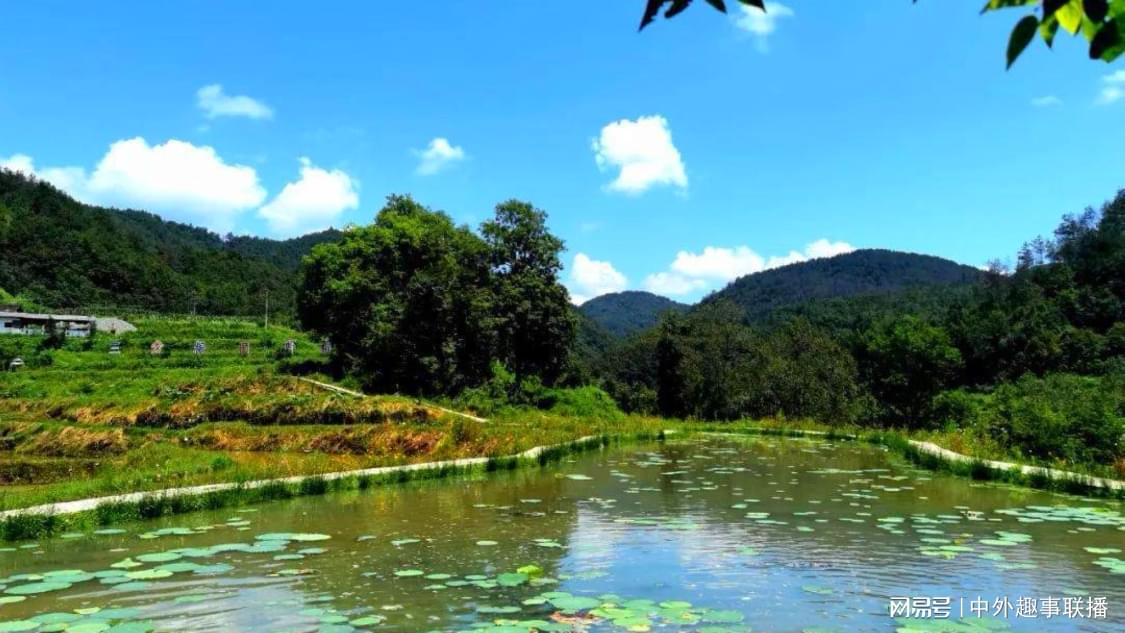 稍早前联合推广精准化定制您的财务系统:一站式推广管理平台解析,快手长粉平台：自媒体优质内容创作涨粉实战指南